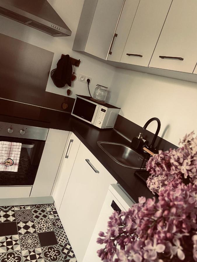 Ferme Des P'Tits Loups Villa Soindres Bagian luar foto